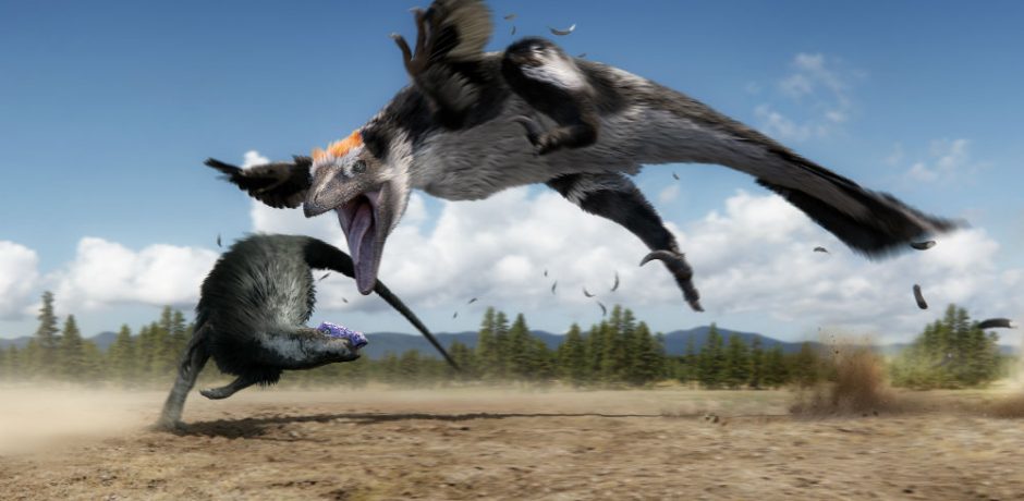 raptor_chases_thesc-940x460